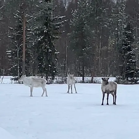 Appartamento Nordic Wooden House *