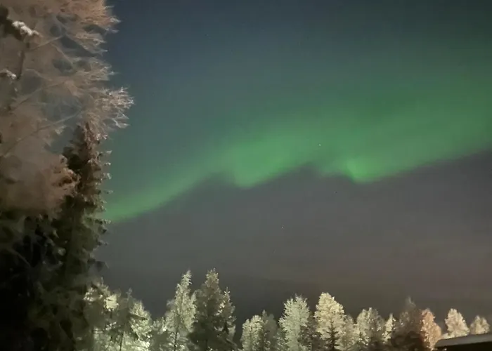 Apartamento Nordic Wooden House *